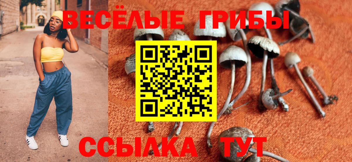 Моздок  Галлюциногенные грибы мицелий  Вход с VPN 