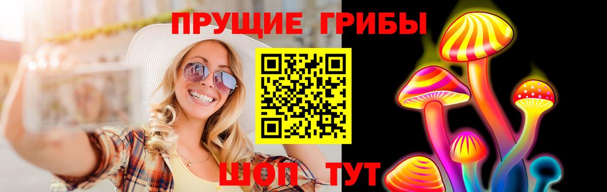 APVP Моздок